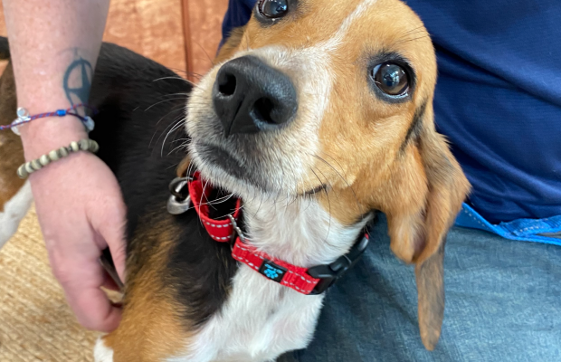 Cranberry is one special girl! Click here to meet her!