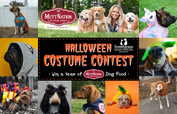Vote Now for the Best Costume, Winner Gets 1 Year of MuttNation Food