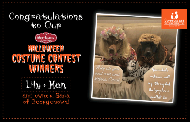 Congrats to Sara, Lily & Man in Georgetown, Winners of 1 Year of MuttNation Food