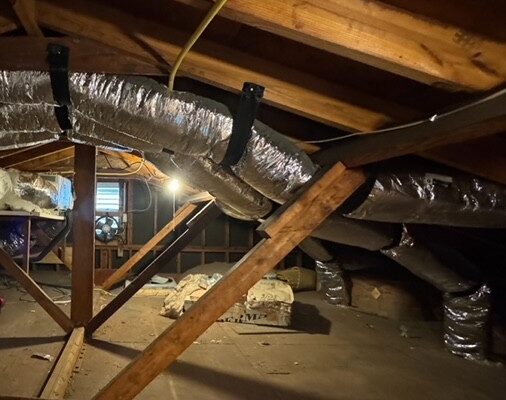 She’s got a nice…..ATTIC!