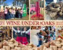 Tickets on Sale for the Lowcountry's Premier Wine Event - Dec. 7